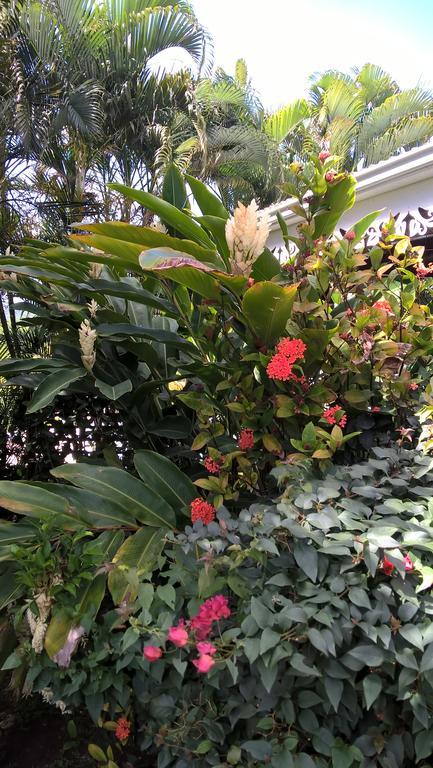 Cap Martinique Villa Sainte-Anne Ngoại thất bức ảnh